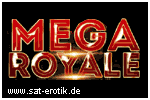 Logo Sender